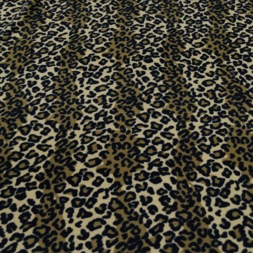 Leopar Polar