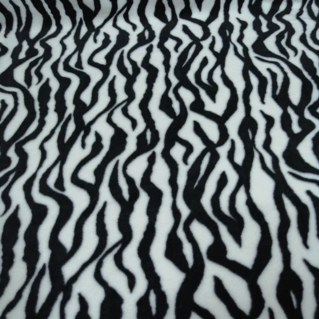 Zebra Polar