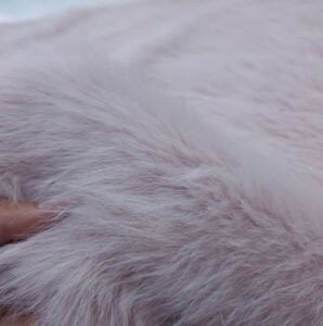 Lolita Peluş Kumaş Pudra