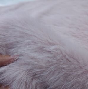 Lolita Peluş Kumaş Pudra